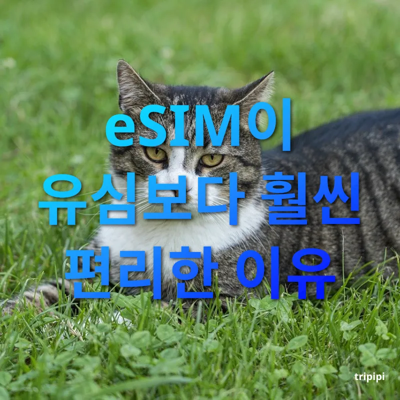 해외 데이터 로밍 빠르고 간편한 설치 과정 관련 이미지