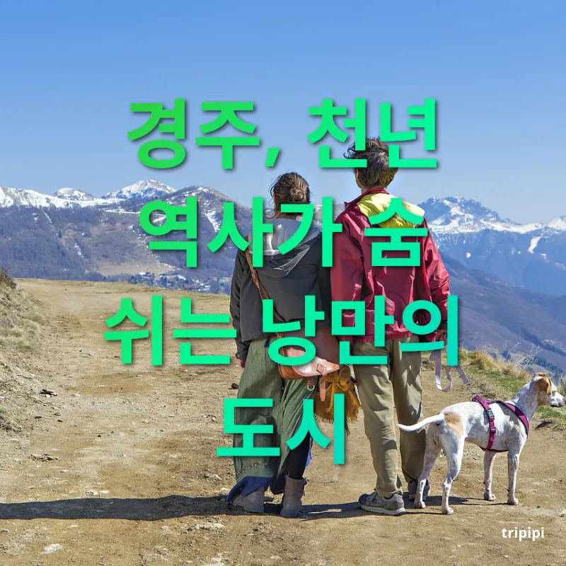 낭만적인 국내 커플 여행지 천년고도의 문화유산과 황리단길의 감성 관련 이미지