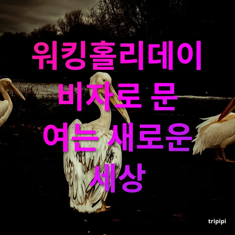 호주 워킹홀리데이 만 18세~30세 청년이라면 누구나 신청 가능! 관련 이미지