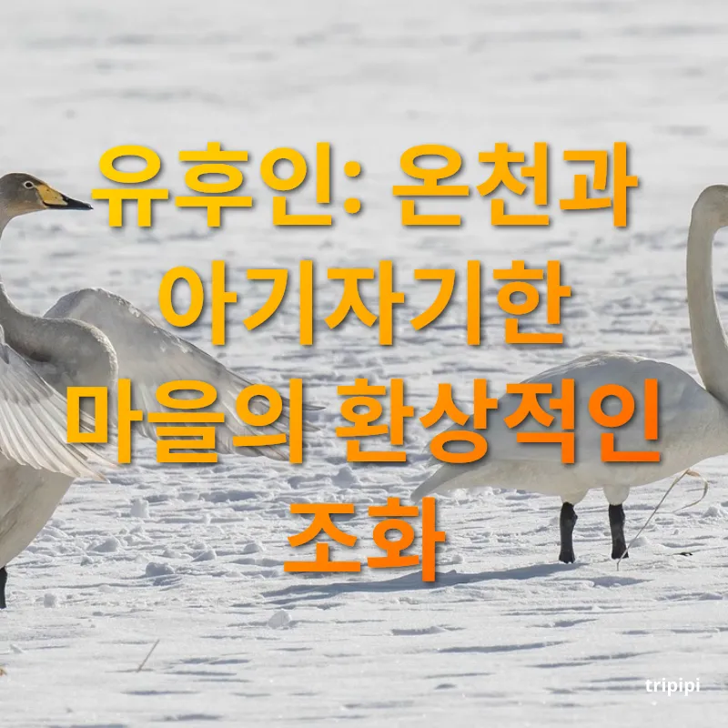 일본 겨울 여행 - 온천으로 힐링하는 유후인 일본 겨울 여행 온천으로 힐링하는 유후인 관련 이미지