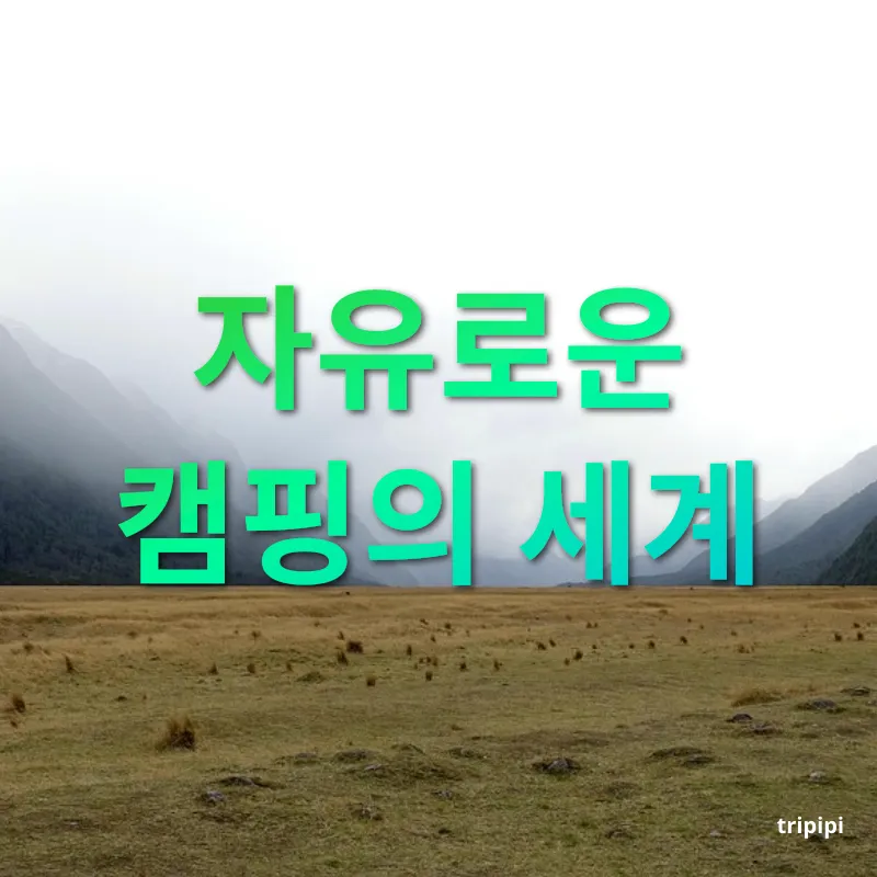 자연 힐링 여행 - 마음껏 펼치는 야영의 자유 자연 힐링 여행 마음껏 펼치는 야영의 자유 관련 이미지