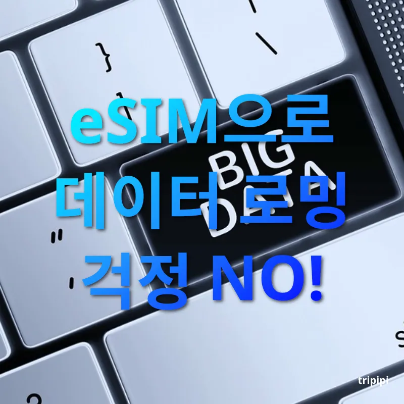 해외 데이터 로밍 eSIM으로 데이터 로밍 걱정 NO! 관련 이미지