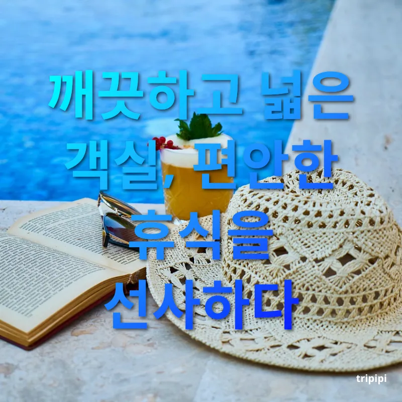 호텔 예약 - 깨끗하고 넓은 객실, 편안한 휴식을 선사하다 호텔 예약 깨끗하고 넓은 객실, 편안한 휴식을 선사하다 관련 이미지