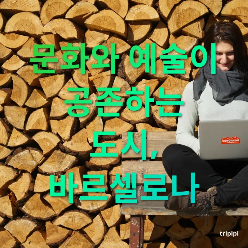 디지털 노마드 - 문화와 예술이 공존하는 도시, 바르셀로나 디지털 노마드 문화와 예술이 공존하는 도시, 바르셀로나 관련 이미지