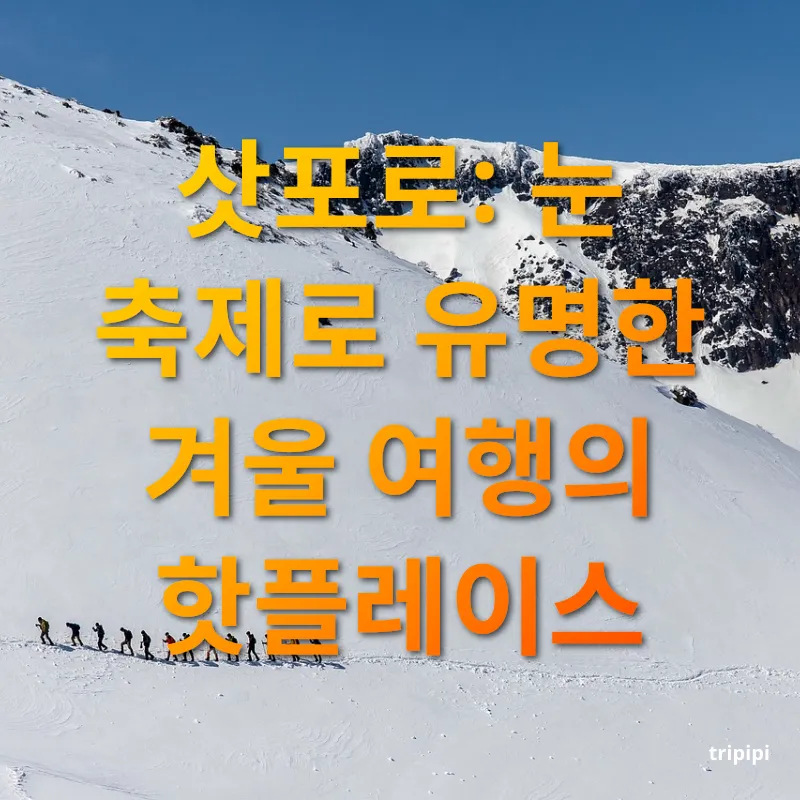 일본 겨울 여행 - 삿포로: 눈 축제로 유명한 겨울 여행의 핫플레이스 일본 겨울 여행 삿포로: 눈 축제로 유명한 겨울 여행의 핫플레이스 관련 이미지