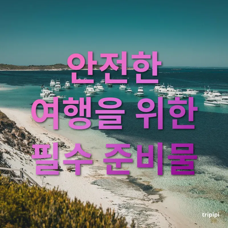 호주 워킹홀리데이 안전한 여행을 위한 필수 준비물 관련 이미지
