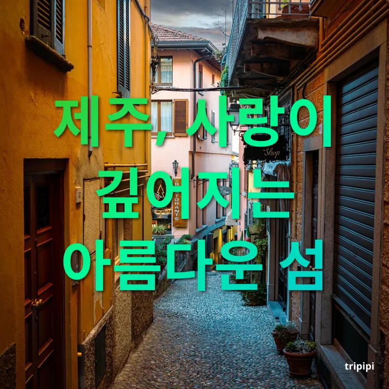 낭만적인 국내 커플 여행지 제주, 사랑이 깊어지는 아름다운 섬 관련 이미지