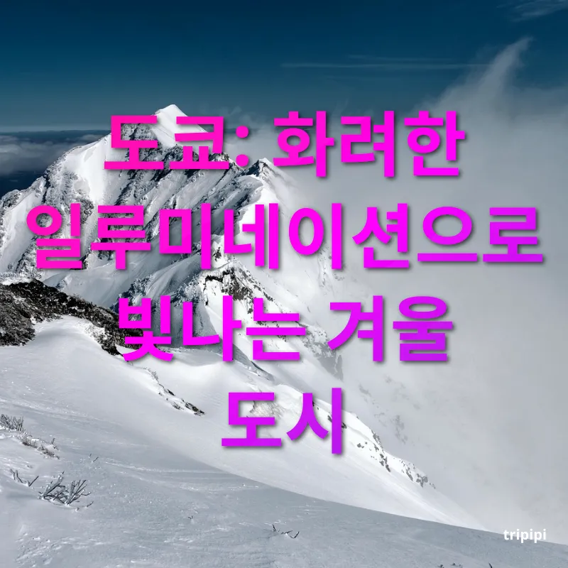 일본 겨울 여행 - 도쿄: 화려한 일루미네이션으로 빛나는 겨울 도시 일본 겨울 여행 도쿄: 화려한 일루미네이션으로 빛나는 겨울 도시 관련 이미지