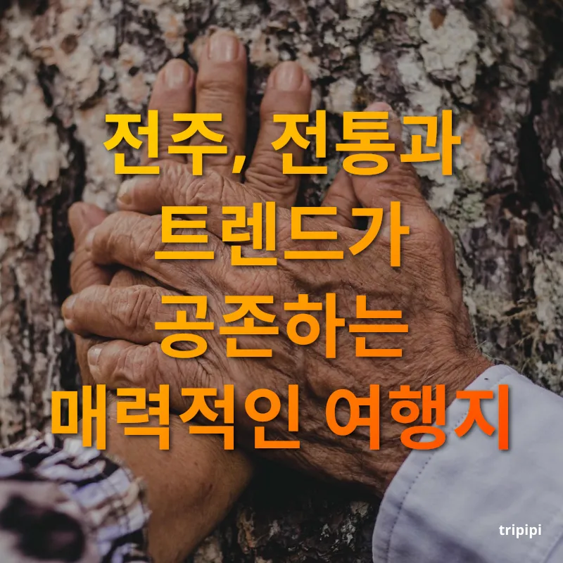 낭만적인 국내 커플 여행지 전주, 전통과 트렌드가 공존하는 매력적인 여행지 관련 이미지
