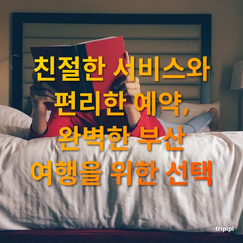 호텔 예약 - 친절한 서비스와 편리한 예약, 완벽한 부산 여행을 위한 선택 호텔 예약 친절한 서비스와 편리한 예약, 완벽한 부산 여행을 위한 선택 관련 이미지