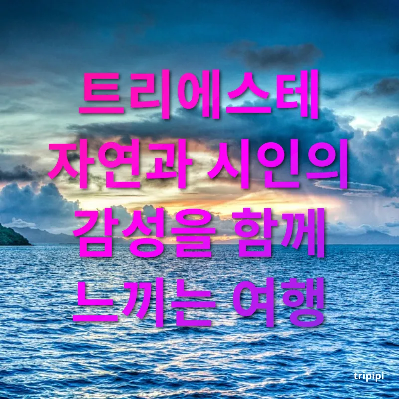 관광지 자연 여행 - 트리에스테 자연과 시인의 감성을 함께 느끼는 여행 관광지 자연 여행 트리에스테 자연과 시인의 감성을 함께 느끼는 여행 관련 이미지