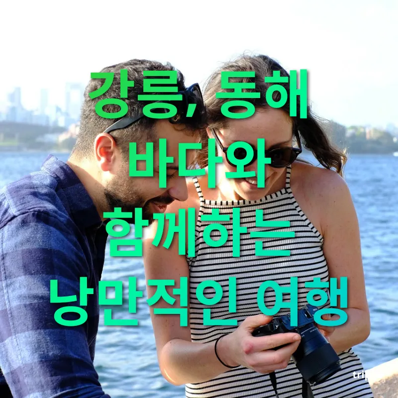 낭만적인 국내 커플 여행지 강릉, 동해 바다와 함께하는 낭만적인 여행 관련 이미지