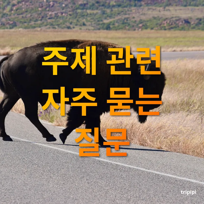 해외 데이터 로밍 주제 관련 자주 묻는 질문 관련 이미지