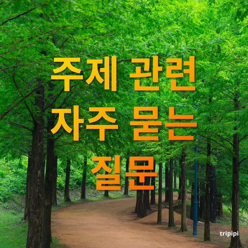 자연 힐링 여행 - 주제 관련 자주 묻는 질문 자연 힐링 여행 주제 관련 자주 묻는 질문 관련 이미지