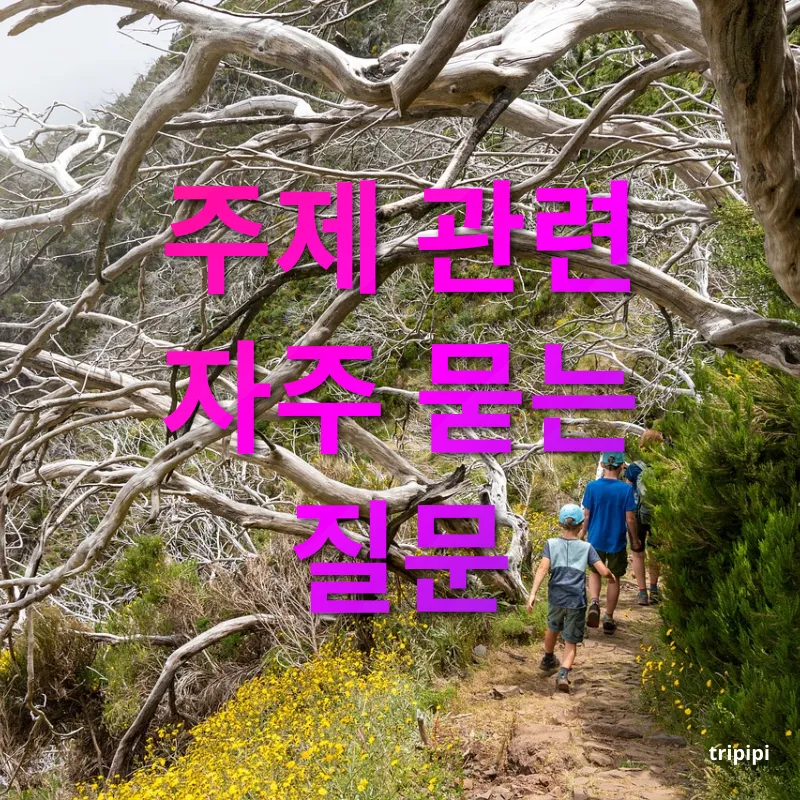 가족여행 - 주제 관련 자주 묻는 질문 가족여행 주제 관련 자주 묻는 질문 관련 이미지